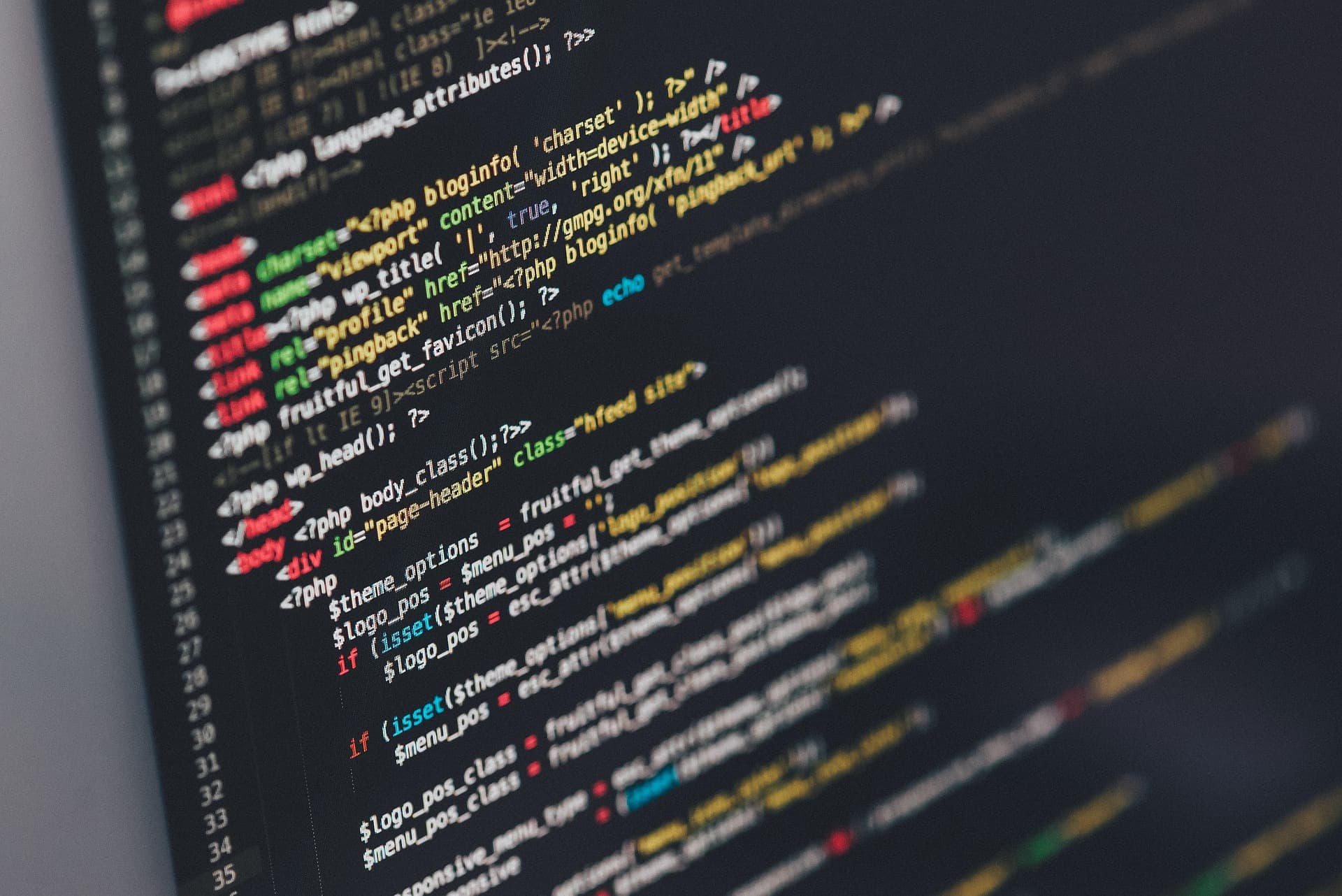 Cover Image for 5 Tips for Success as a New Programmer