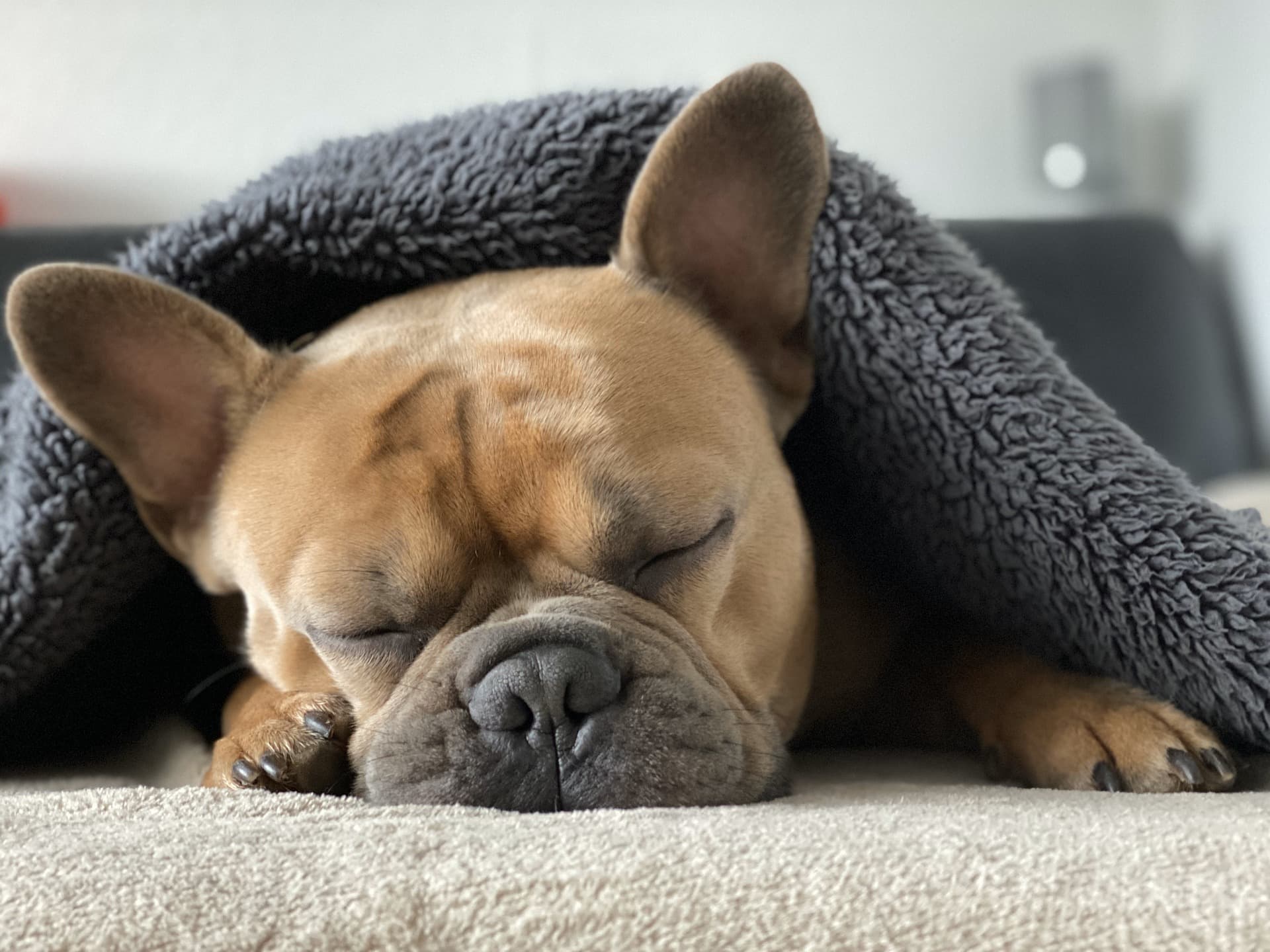 Cover Image for 7 Tips for Improving Your Sleep Quality